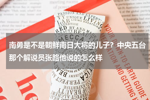 南勇是不是朝鲜南日大将的儿子？中央五台那个解说员张路他说的怎么样