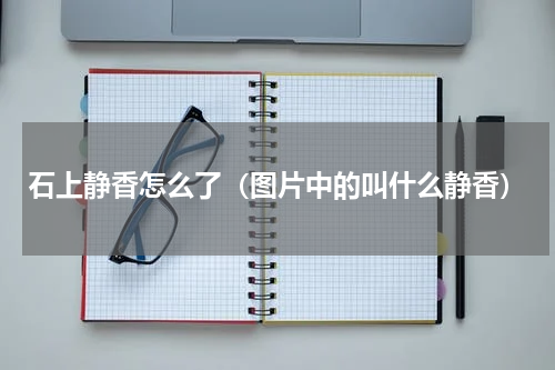 石上静香怎么了（图片中的叫什么静香）